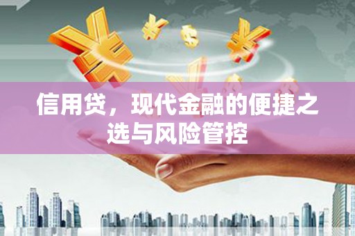美兰信用贷，现代金融的便捷之选与风险管控
