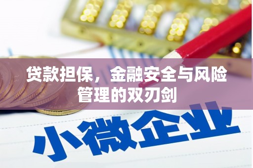 美兰贷款担保，金融安全与风险管理的双刃剑