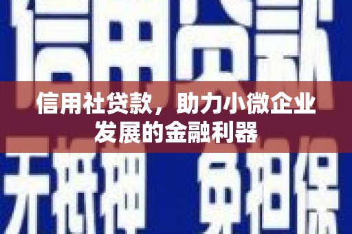美兰信用社贷款，助力小微企业发展的金融利器