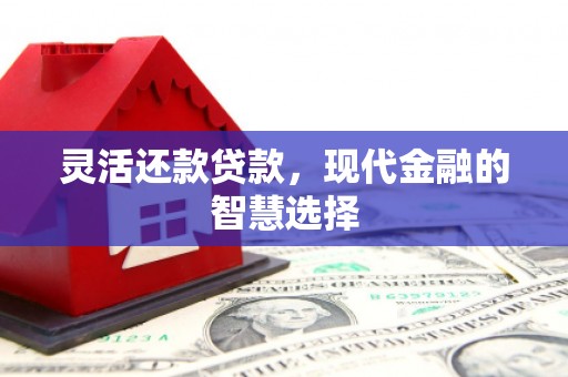 美兰灵活还款贷款，现代金融的智慧选择