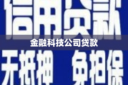 美兰金融科技公司贷款