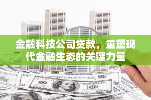 美兰金融科技公司贷款，重塑现代金融生态的关键力量