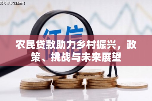 美兰农民贷款助力乡村振兴，政策、挑战与未来展望
