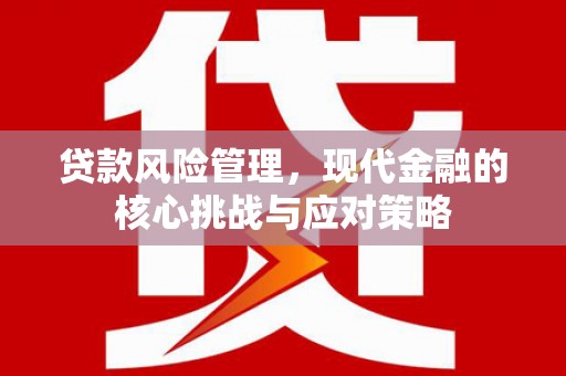 美兰贷款风险管理，现代金融的核心挑战与应对策略