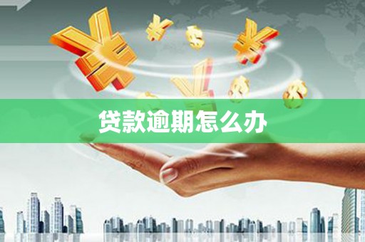 美兰贷款逾期怎么办