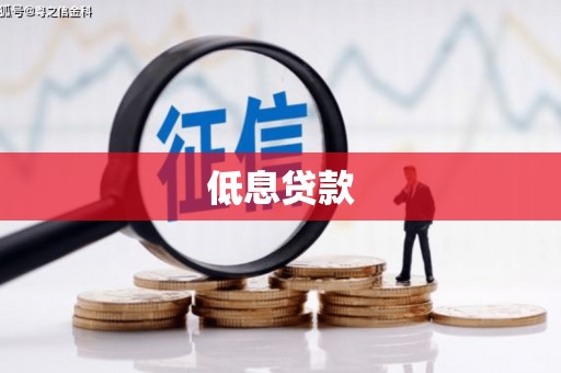 美兰低息贷款
