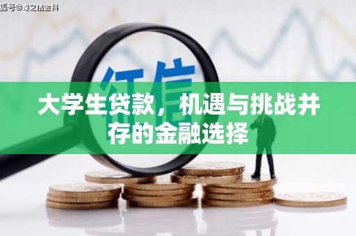 美兰大学生贷款，机遇与挑战并存的金融选择