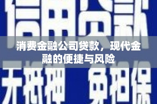 美兰消费金融公司贷款，现代金融的便捷与风险