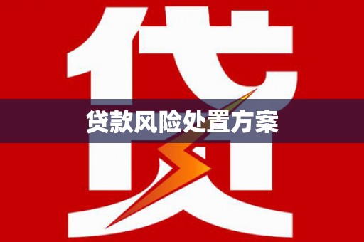 美兰贷款风险处置方案