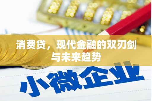 美兰消费贷，现代金融的双刃剑与未来趋势