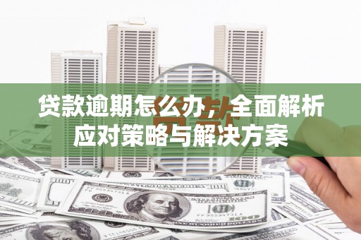 美兰贷款逾期怎么办，全面解析应对策略与解决方案